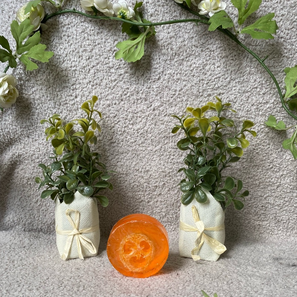💎 Citrus Soap with Loofah